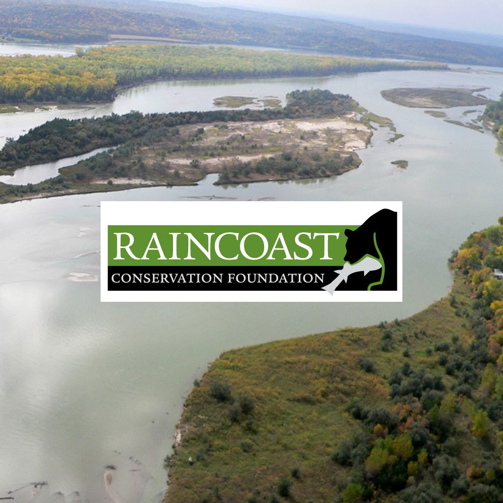 Typlan helps to restore estuary connectivity on the delta of the Fraser River estuary