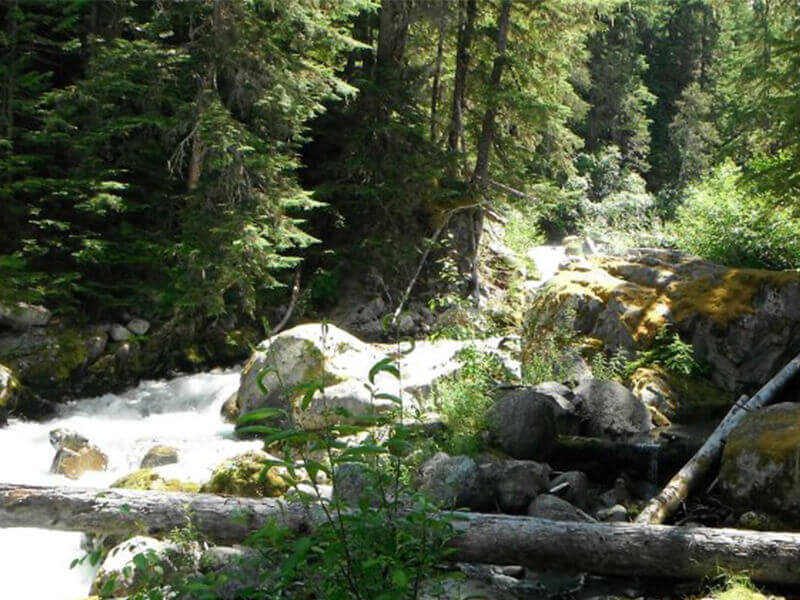 Mt. Currie First Nation: Wedge Creek