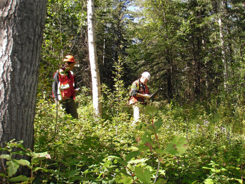 Site C Clean Energy Project (2)